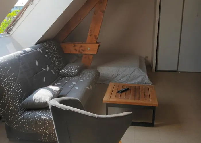 Calme D'angers Apartamento *